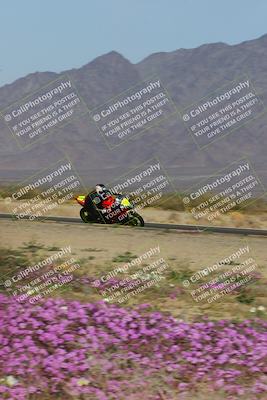 media/Feb-04-2023-SoCal Trackdays (Sat) [[8a776bf2c3]]/Turn 15 Inside Blooming (1050am)/